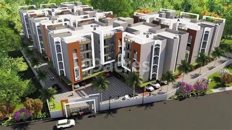 Vaishno Sai Sarovar Lily